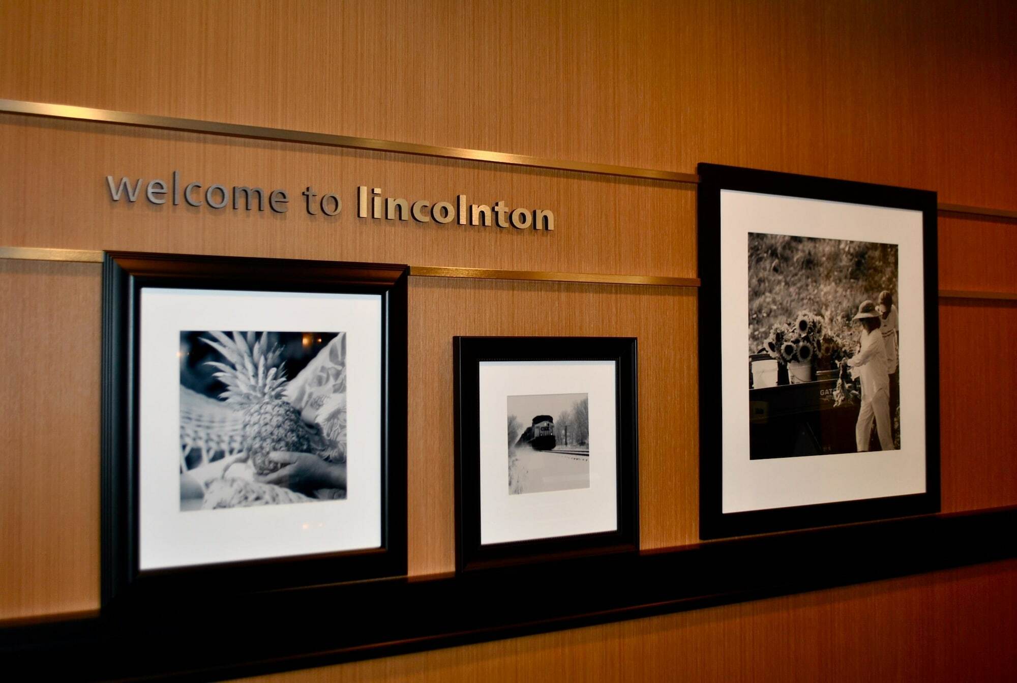 แฮมป์ตัน อินน์ ลินคอล์นตัน Lincolnton ภายนอก รูปภาพ